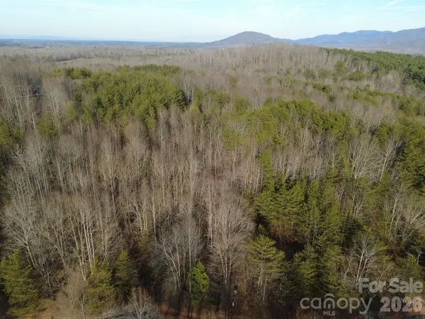 147 Double Eagle DR #23, Nebo, NC 28761