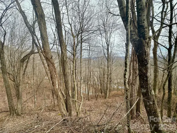 TBD Alpine DR #21-22, Seven Devils, NC 28604