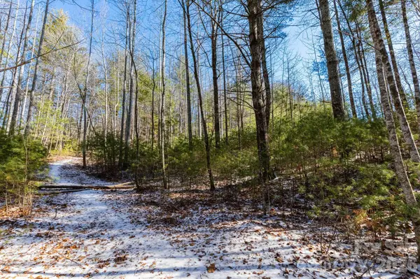 999 Trellum TRL #12, Hendersonville, NC 28739