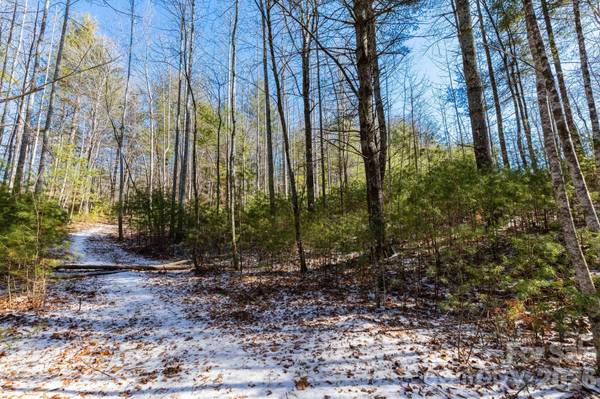 999 Trellum TRL #12, Hendersonville, NC 28739