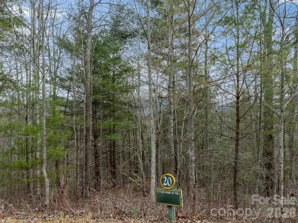 400 Pine Cone TRL #20, Marshall, NC 28753
