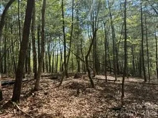 0 GREEN RIVER RD, Zirconia, NC 28790