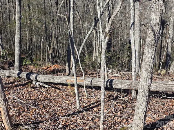 Lot 2 Warren Ridge RD, Old Fort, NC 28762
