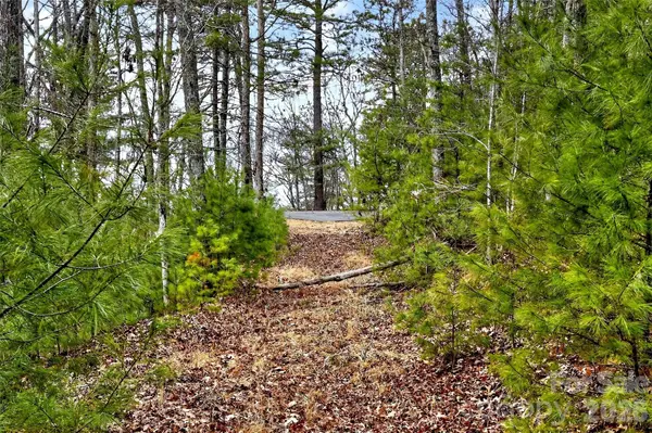 149 Turkey Trot TRL #17, Marshall, NC 28753