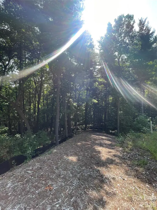 Lot # 21 Haverhill CT #21, Flat Rock, NC 28731