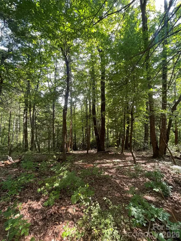Lot # 21 Haverhill CT #21, Flat Rock, NC 28731