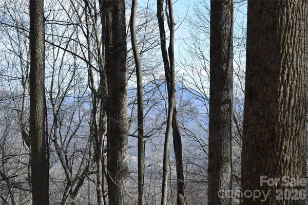 417& 418 Multiflora WAY #417&418, Waynesville, NC 28785