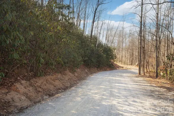 000 Bee Tree RD #103B, Swannanoa, NC 28778