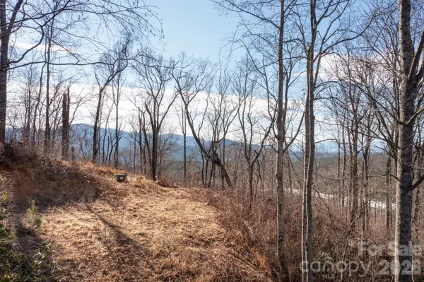 000 Bee Tree RD #103B, Swannanoa, NC 28778