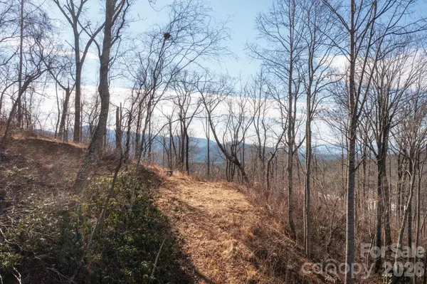 000 Bee Tree RD #103B, Swannanoa, NC 28778