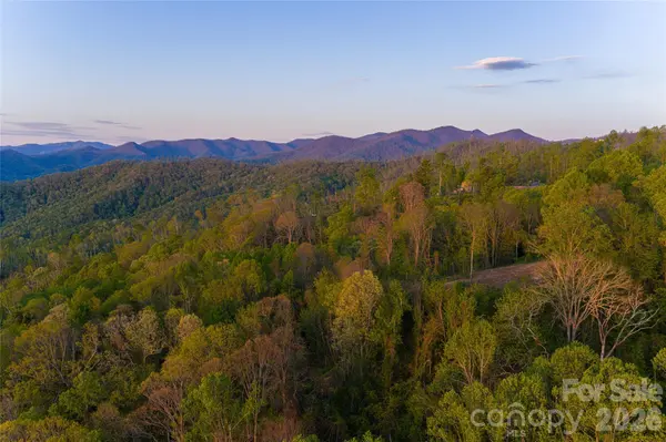 99999 Elk Mountain Scenic HWY #2, Asheville, NC 28804