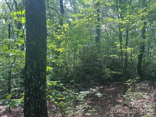 0 Pine Ridge RD #21, Hendersonville, NC 28792