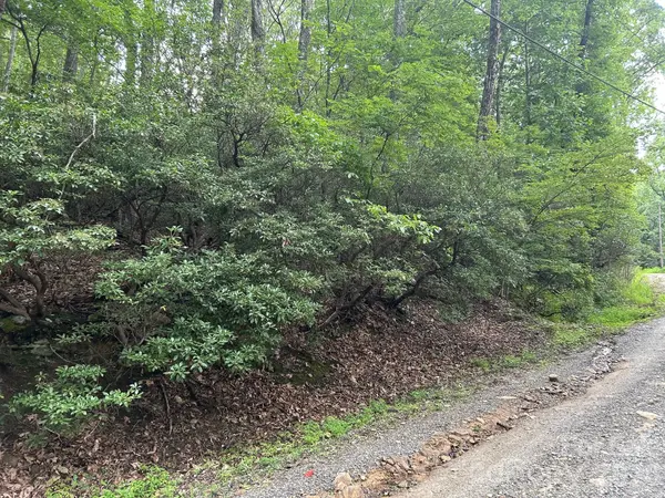 0 Pine Ridge RD #21, Hendersonville, NC 28792