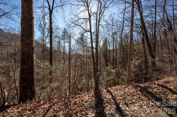 171 Deerfield DR #15, Lake Lure, NC 28746