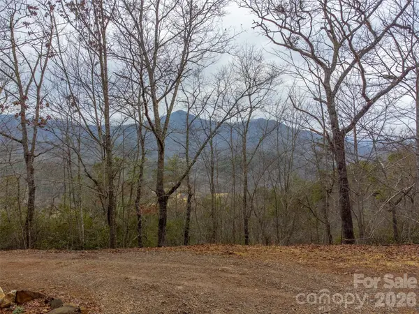 9999 Lower Burningtown RD, Franklin, NC 28734
