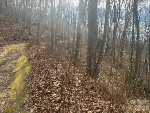 68 Grouse RD #68, Clyde, NC 28721