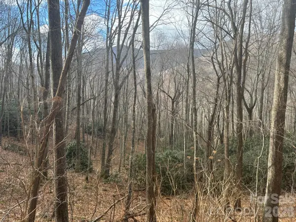 68 Grouse RD #68, Clyde, NC 28721