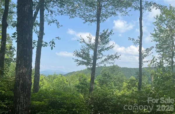 Lot 10 Joshua RD, Rosman, NC 28772