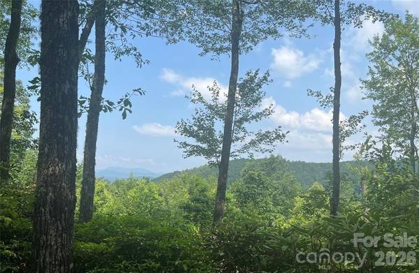 Lot 10 Joshua RD, Rosman, NC 28772