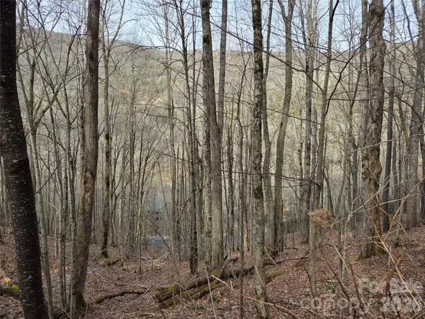 180 Goat House WAY, Maggie Valley, NC 28751