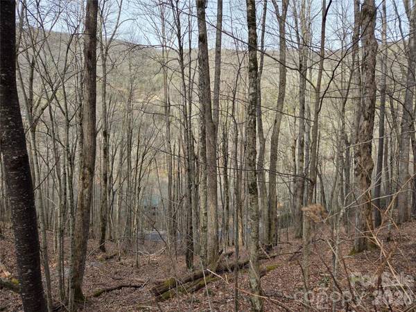 180 Goat House WAY, Maggie Valley, NC 28751