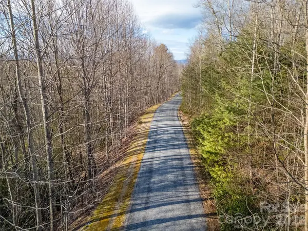 LT 617A Lost Mine TRL, Brevard, NC 28712