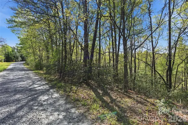 Lot 304 Sanderling CT #304, Lake Lure, NC 28746