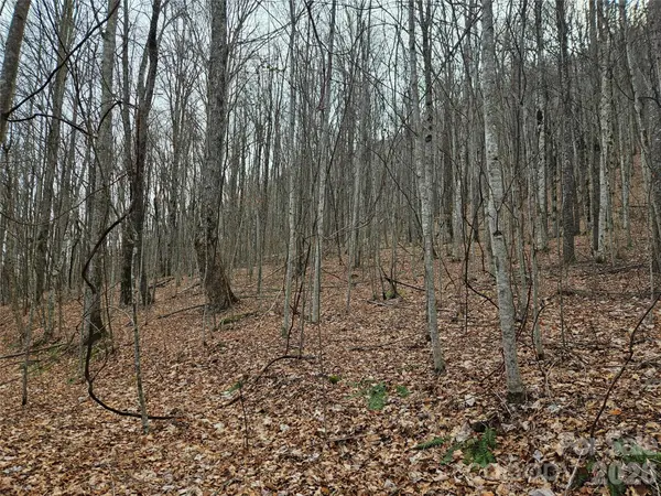 000 Slippery Rock LN, Waynesville, NC 28785