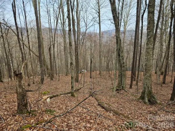 000 Slippery Rock LN, Waynesville, NC 28785