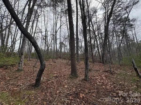Lot 106 Ravenswood DR, Marion, NC 28752