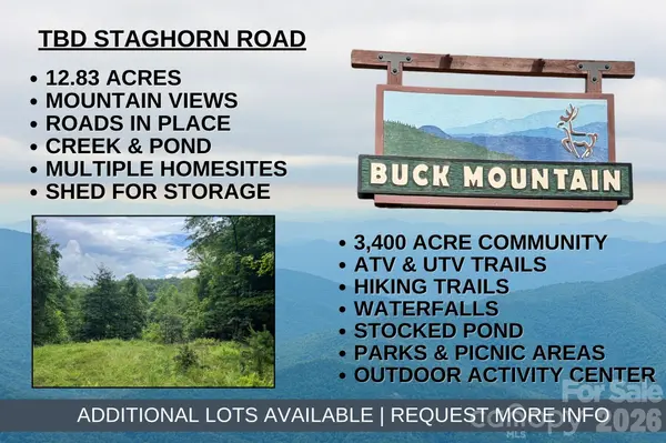 TBD Staghorn RD, Purlear, NC 28665