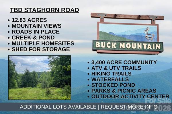 TBD Staghorn RD, Purlear, NC 28665