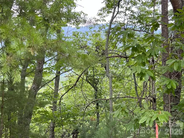 0 Stratford DR #19, Mill Spring, NC 28756
