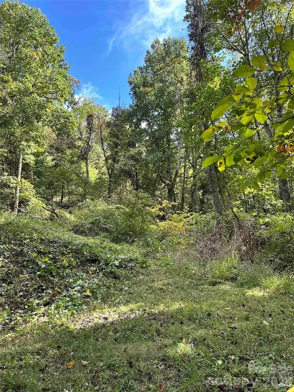 94 Locust Grove LN, Weaverville, NC 28787
