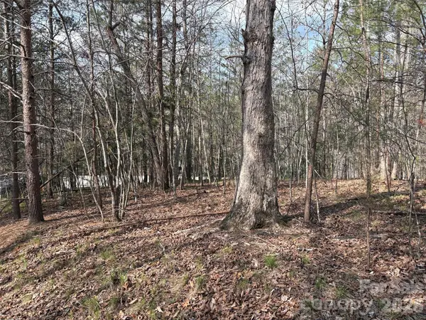 0 Valley DR #142, Rutherfordton, NC 28139