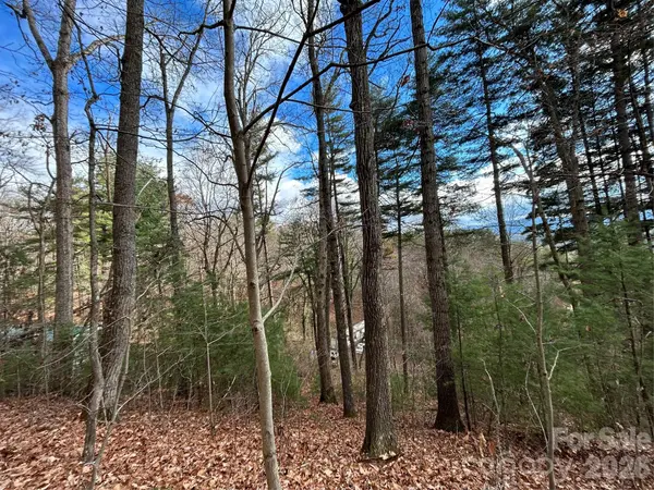 99999 Cowan Cove RD, Asheville, NC 28806