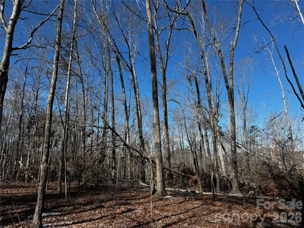 0 Painters Gap RD, Union Mills, NC 28167