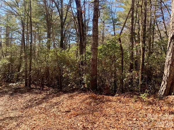 Lot 18 Oak Ridge DR #18, Brevard, NC 28712