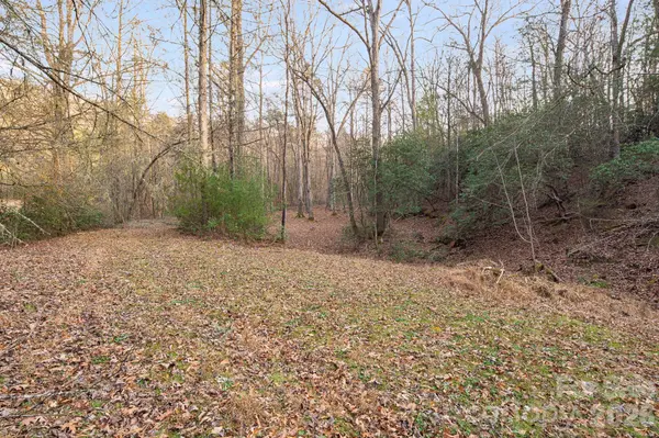 0000 Red Eft WAY, Horse Shoe, NC 28742