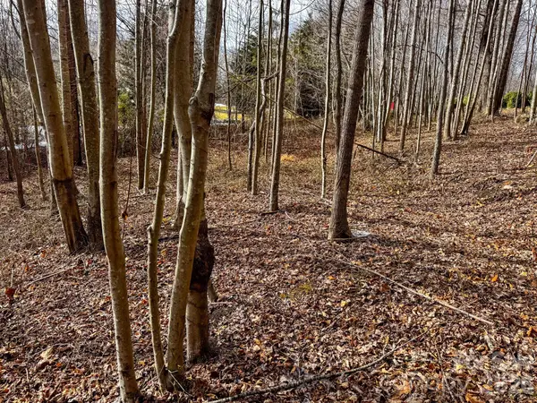 770 Somersby Pkwy, Hendersonville, NC 28739