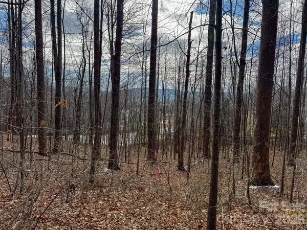 770 Somersby Pkwy, Hendersonville, NC 28739