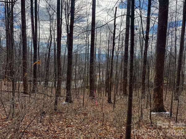 770 Somersby Pkwy, Hendersonville, NC 28739