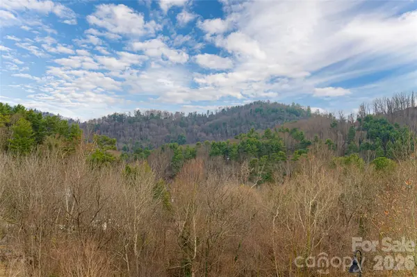 22 Snap Dragon CT, Asheville, NC 28804