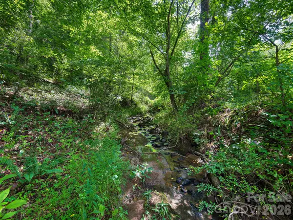 99999 Baileys Branch RD, Marshall, NC 28753