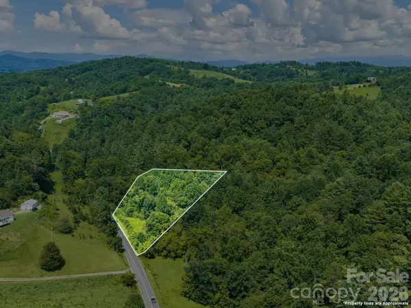 99999 Baileys Branch RD, Marshall, NC 28753