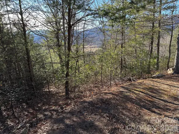 000 Fox Ridge TRL #57, Marion, NC 28752