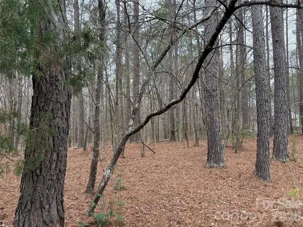 6191 Chimney Bluff RD, Lancaster, SC 29720