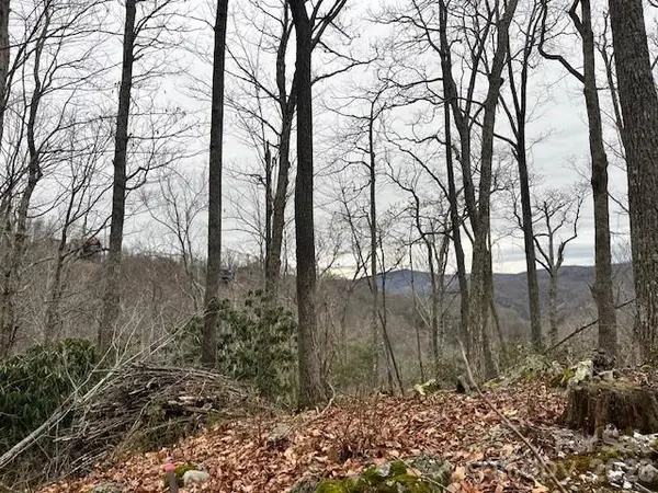 C-114 Spring Water LN, Banner Elk, NC 28604