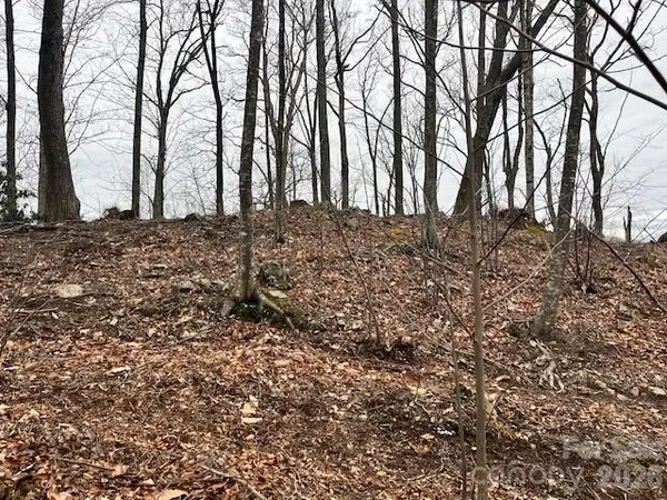 C-114 Spring Water LN, Banner Elk, NC 28604