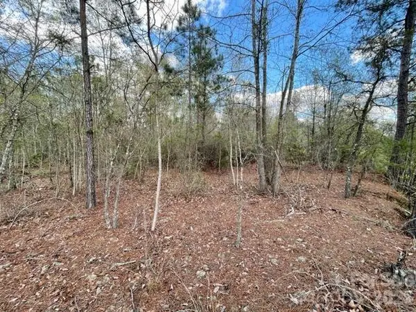 0000 Hwy 1 BYP, Cheraw, SC 29520